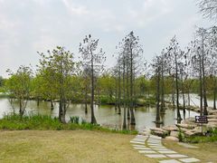-上海长兴岛郊野公园