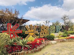 -上海长兴岛郊野公园