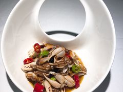 -开海·红岛海鲜虾水饺(石老人店)