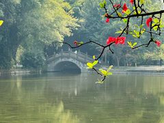 -棠湖公园
