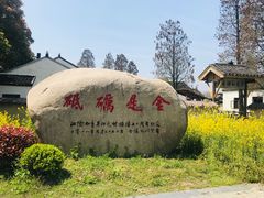 -同里国家湿地公园