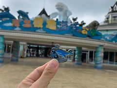 -海合安成都极地海洋公园