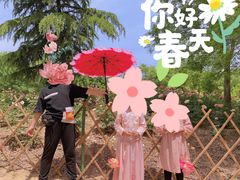 -曹州牡丹园