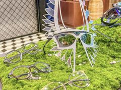 -大视光学•LINDBERG林德伯格•全球手工眼镜集合店(王府井店)