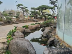 -罗红摄影艺术馆