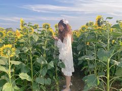 -映月湖中央公园
