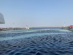 -贝林大翅鲸简餐厅(国家海洋博物馆店)