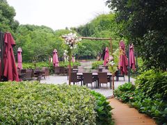 -荷风细雨·中国茶宴(碧云店)