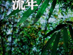 -望江楼公园