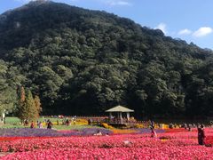 -广州市石门国家森林公园