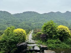 -中国茶叶博物馆(双峰馆区)