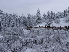-瓦屋山景区