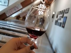 -北京张裕爱斐堡酒庄