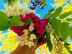 -天津东丽湖风景区