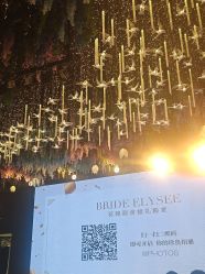 -花嫁丽舍婚礼殿堂(世博江景店)