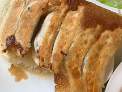 韭菜锅贴-陶然饺子城(奥体中路店)