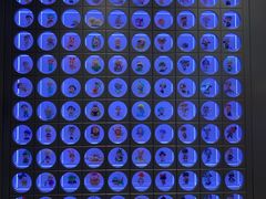 -深圳湾万象城(南山店)