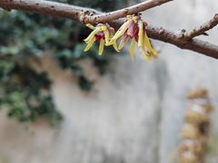 -无锡惠山寺