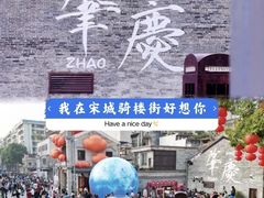 -鼎香皇高佬苏裹蒸粽