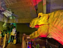 -恐龙探索乐园(磁器口店)