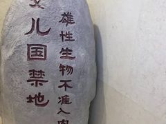 -北京英嘉国际影城(金源CINITY店)