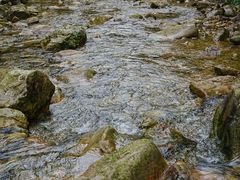 -南海湾森林生态园