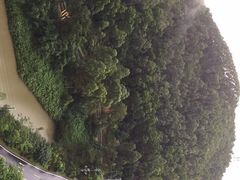 -美的鹭湖森林度假区