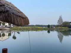 -水岸居湖景农家乐·阳澄湖大闸蟹
