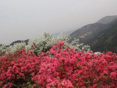 -木兰云雾山