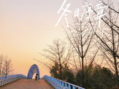 -大兴滨河森林公园
