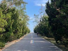 -日照海滨国家森林公园