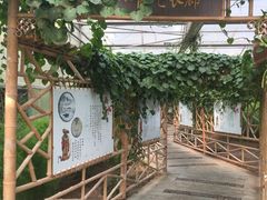 -上海都市菜园