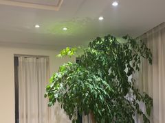 -梅花香里大酒店(郁金香路店)