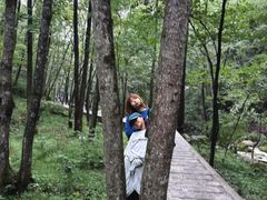 -牛背梁国家森林公园