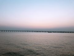 -宝安西湾红树林湿地公园