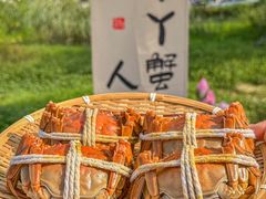 -丫丫蟹庄·苏式园林农家乐·阳澄湖大闸蟹(阳澄湖莲花岛店)