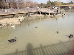 -无锡动物园·太湖欢乐园