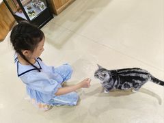 -藏猫猫咖啡主题馆(中央大道店)