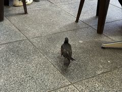 -亚坤(远东广场店)