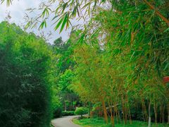 -火炉山森林公园
