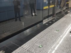 -大龙山(地铁站)