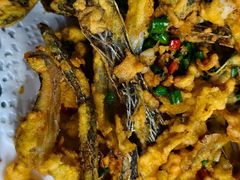 -鲤鱼塘农家山庄