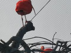 -武汉动物园
