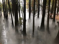 -东湖落雁景区