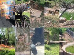 -辛玛王国游乐园