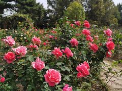 -国家植物园南园