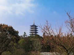 -宜兴龙背山森林公园