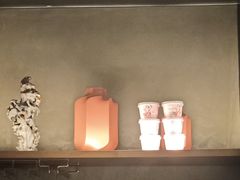 -大鸭梨烤鸭(望京店)