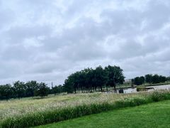 -汉长安城未央宫国家考古遗址公园