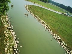 -北京麋鹿生态实验中心
